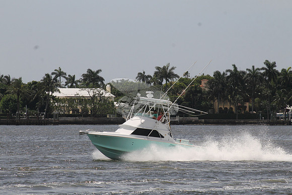 Bertram 28 green.03