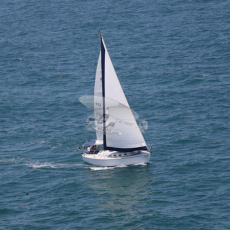 422.FL8313SN..SPIRIT OF THE WIND.37