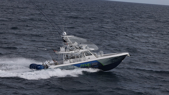FFMD.EVERGLADES.4 YAMAHA BLUE.2820