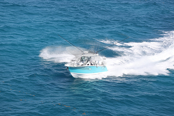BLACKFIN27.11