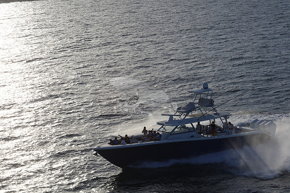 alegrias.bay harb.yellowfin.11