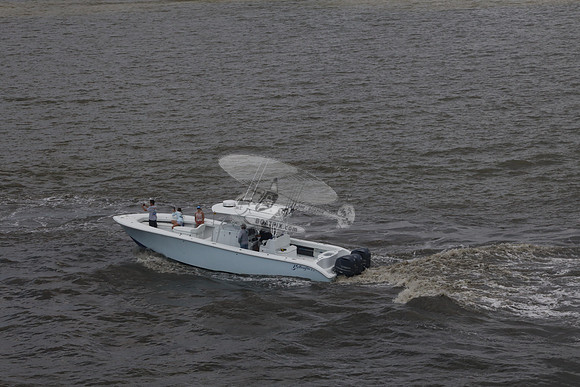 al.yellowfin.02