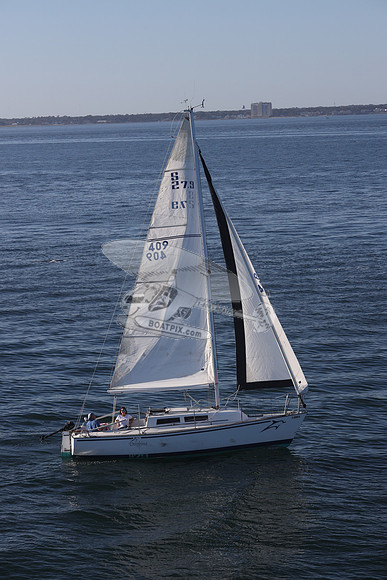 409.DELPHINA.FL6669GL.11