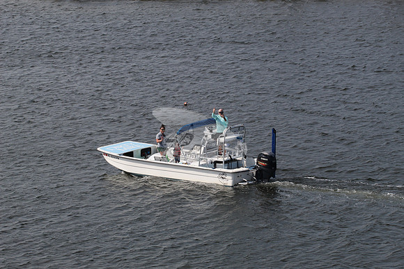 fl0310px.1