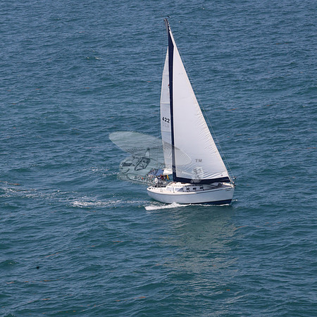 422.FL8313SN..SPIRIT OF THE WIND.38