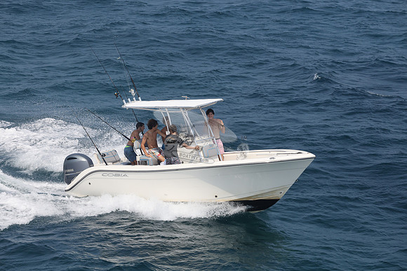 COBIA.WHITE.18