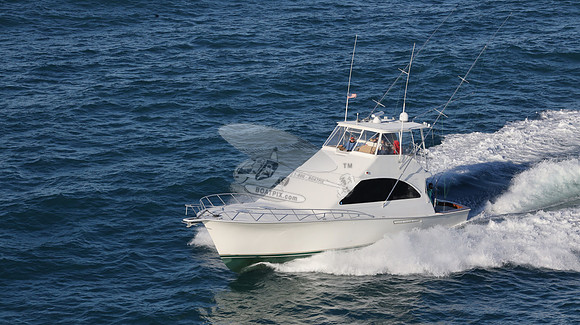 BARONESS.34