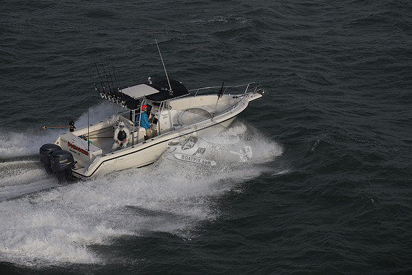 docknocking.gulfport fl.9932