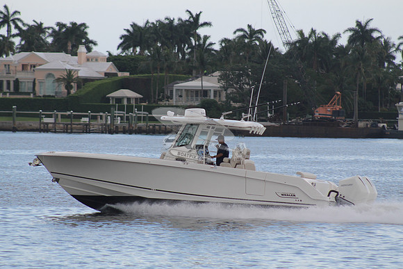 BOSTON WHALER.09