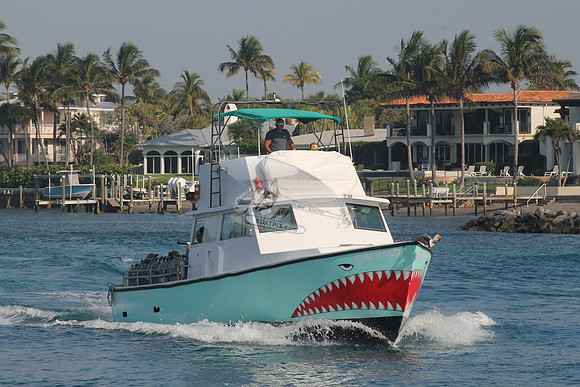 EMERALD.JUPITER FL.01