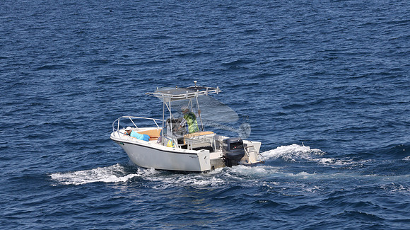 FL0253DE.01
