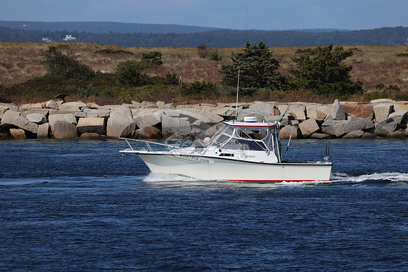 ms99909bn.08
