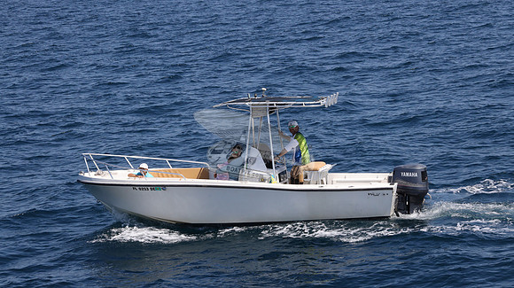 FL0253DE.10