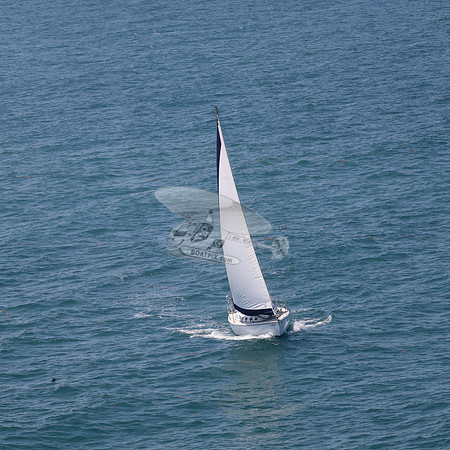 422.FL8313SN..SPIRIT OF THE WIND.49