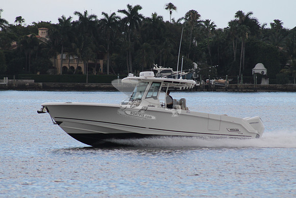 BOSTON WHALER.03