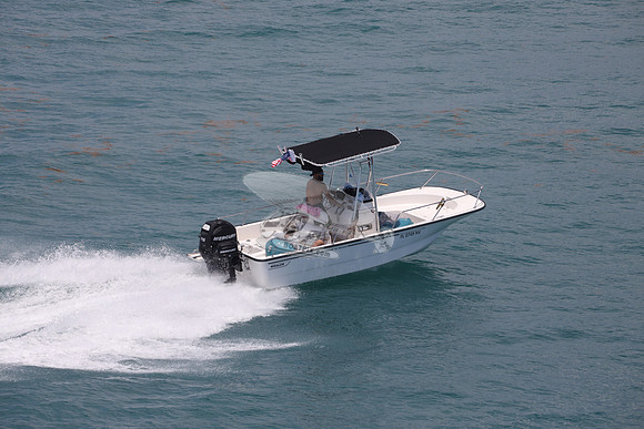 fl0749nv.08