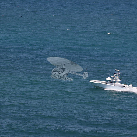 COPA..FL.YELLOWFIN.04