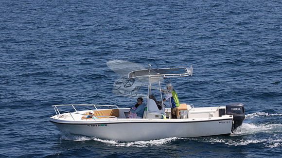 FL0253DE.12