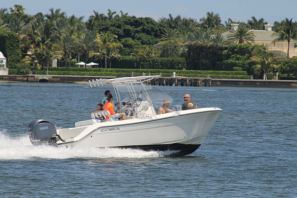 COBIA.12
