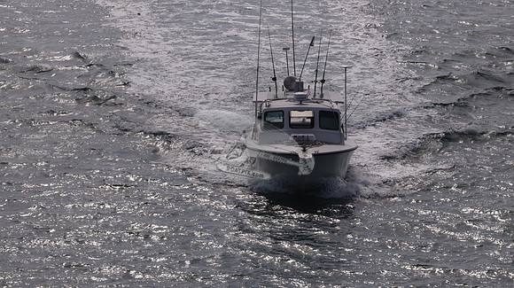 1150151.FISHIN OFF.36