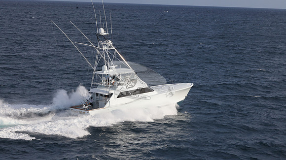 CHASIN TAIL.SINGER ISLAND.2939