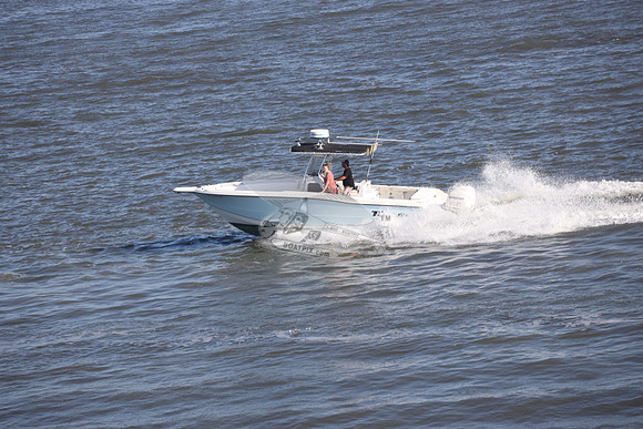 NJ1542GF.111