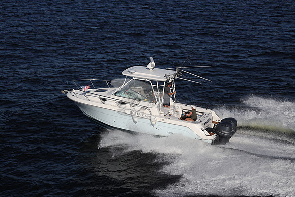 ACCI-DENTAL.JAX FL.ROBALO.08