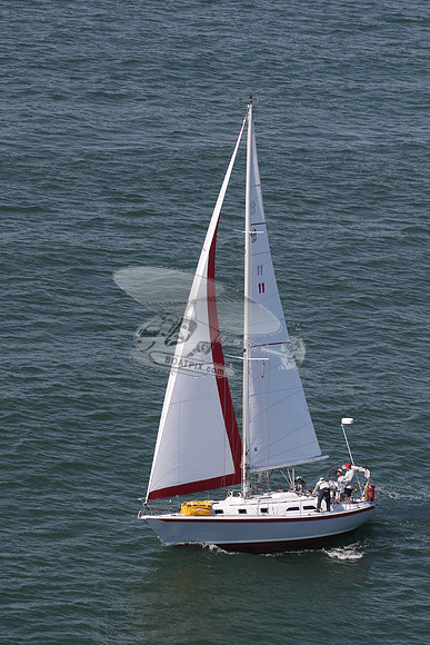 11.skalawag.4970