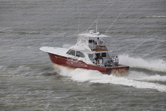 hog wild.manteo nc.3073