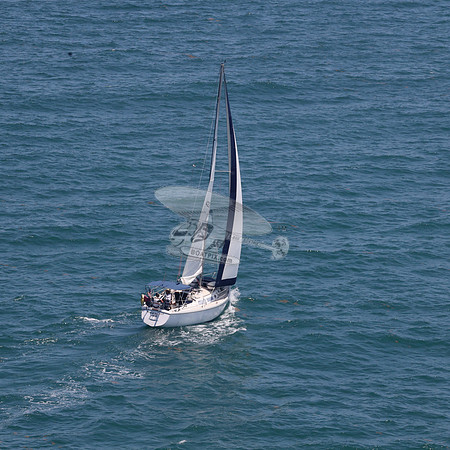 422.FL8313SN..SPIRIT OF THE WIND.10