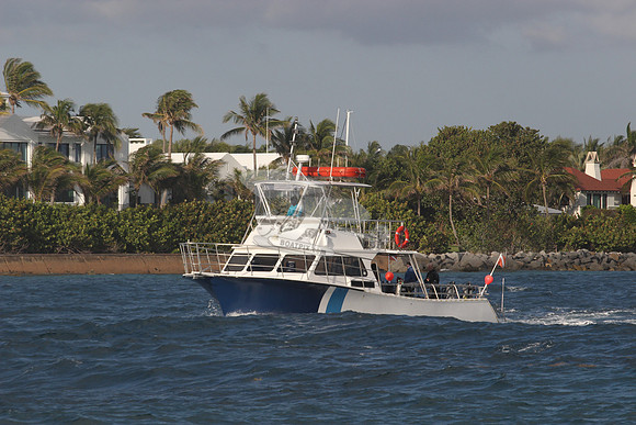 aurelia.singer island.01