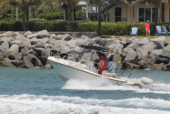 FL0078GL.411