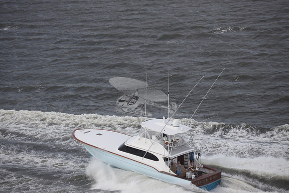 blue bill.wrightsville beach.3647