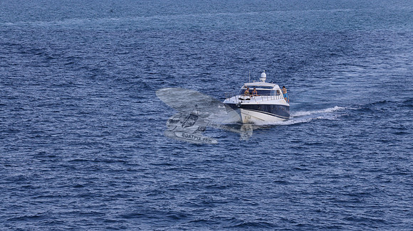 FL0307TC.DIAMOND D II.02