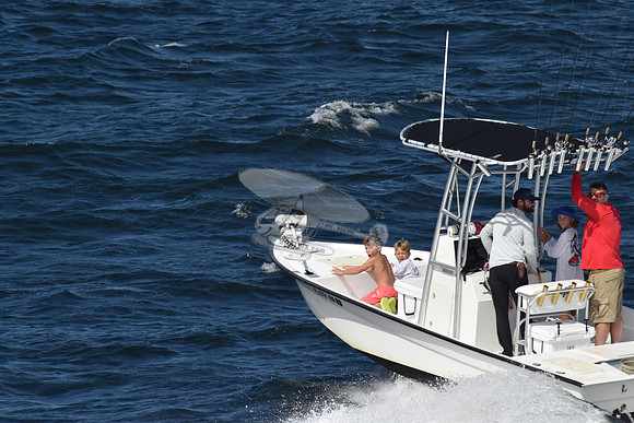 FL0791RM.311