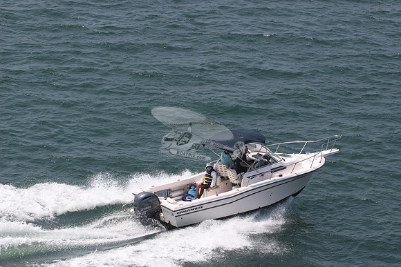 fl8366tm.02