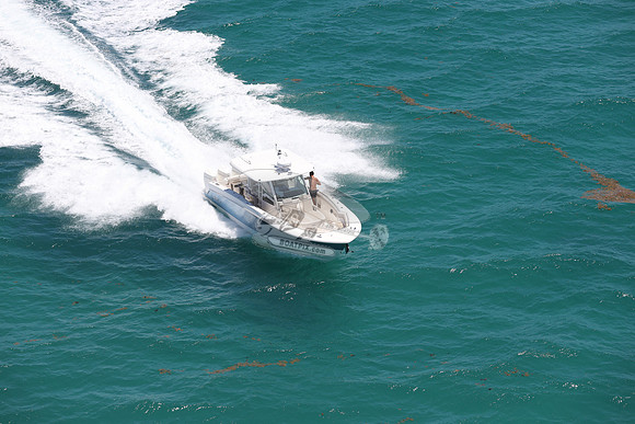 BOSTON WHALER.BLUE HULL.3125