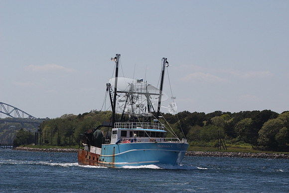 1113613.SOPHIA C.NEW BEDFORD MA.1