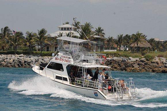 DIVOCEAN.JUPITER FL.4