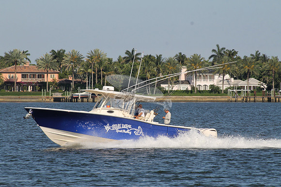 BLUE DEVIL.OCEAN RIDGE FL.GRADY WHITE.07