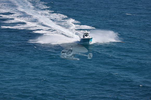 BLACKFIN27.04