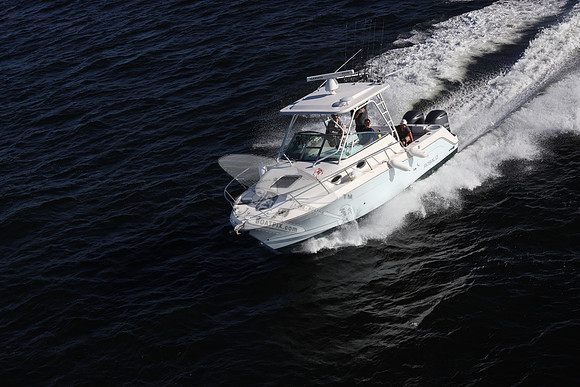 ACCI-DENTAL.JAX FL.ROBALO.17