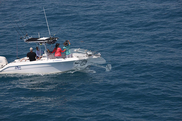 fl1436ka.15