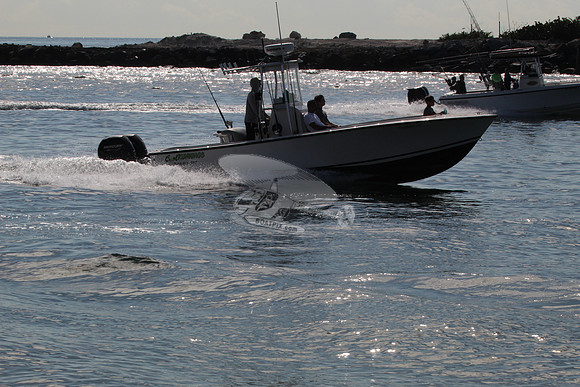 fl0380jy.03
