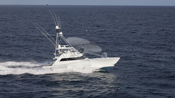CHASIN TAIL.SINGER ISLAND.2954