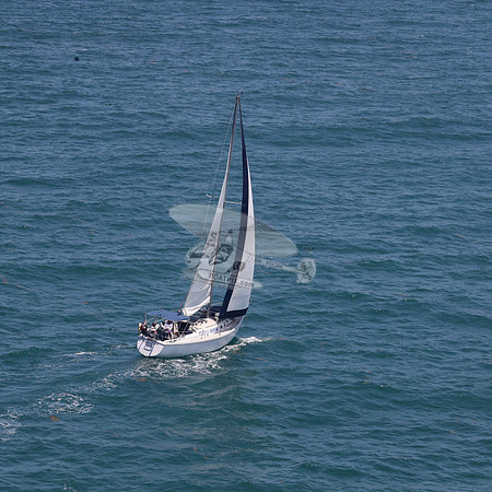 422.FL8313SN..SPIRIT OF THE WIND.12