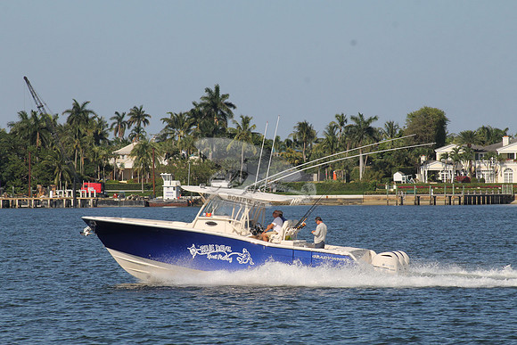 BLUE DEVIL.OCEAN RIDGE FL.GRADY WHITE.12