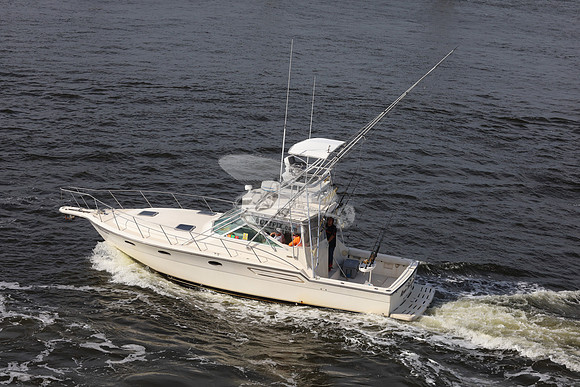 Apex Predator.ft pierce.09