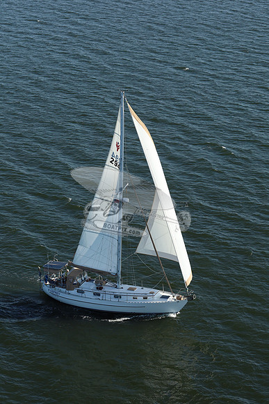 294.osprey.12