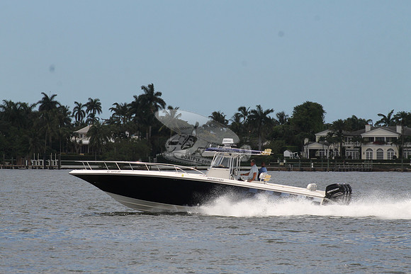 al3075at.06